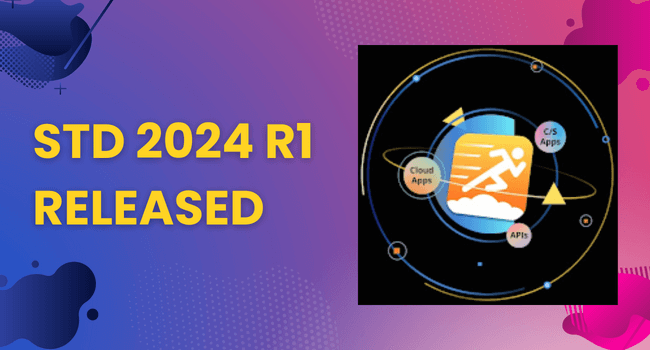 STD 2024 R1 Released